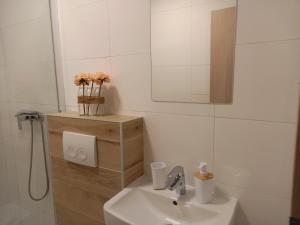 Kúpeľňa v ubytovaní Apartments Benic