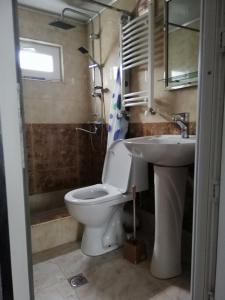 een badkamer met een toilet en een wastafel bij Lamara apartament in Tbilisi City