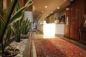 a hallway with a rug and plants in a building at Hotel Europa in Desenzano del Garda