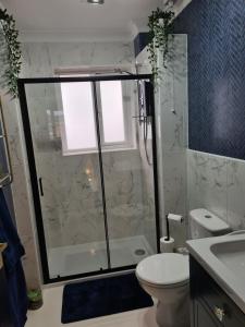 a bathroom with a shower and a toilet and a sink at Stunning 2 bed house near coastal path/lake/beach in Llanelli