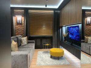a living room with a couch and a tv at Luxury Apartament Wyszyńskiego in Radom