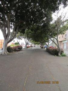 una strada vuota con alberi ai lati della strada di ACOGEDOR PISO EN SAN CRISTOBAL DE LA LAGUNA a La Laguna