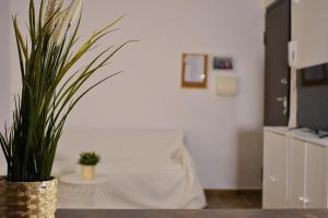 um quarto com uma mesa e um vaso de plantas em At the core of the city next to Gallerius Palace em Tessalônica