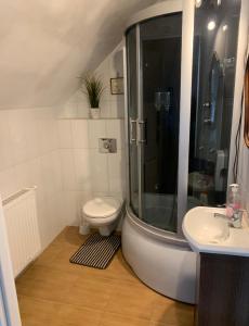 een badkamer met een douche, een toilet en een wastafel bij Pokoje gościnne Ścibórz in Ścibórz