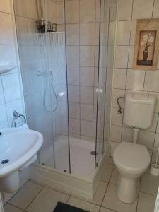 łazienka z prysznicem, toaletą i umywalką w obiekcie Bellis - Apartmanok w mieście Szilvásvárad +15 zdjęć
