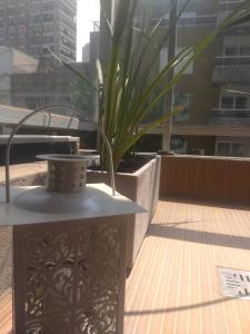 een tafel en een plant op een balkon bij Barrio Norte 2 ambientes in Buenos Aires
