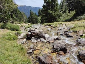 Fotografia z galérie ubytovania Casa Rural con Jacuzzi junto a Camprodon. v destinácii Abella