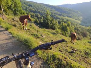 Fotografia z galérie ubytovania Casa Rural con Jacuzzi junto a Camprodon. v destinácii Abella