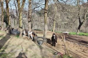 Fotografia z galérie ubytovania Casa Rural con Jacuzzi junto a Camprodon. v destinácii Abella