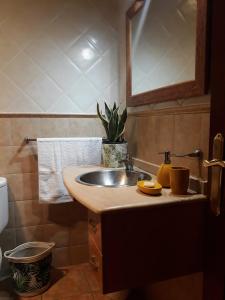 a bathroom sink with a potted plant and a mirror at O DESCANSO DE MANDUCA in Mazaricos