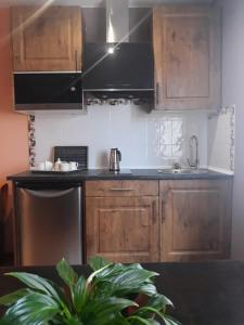 La cuisine est équipée d'armoires en bois et d'un réfrigérateur en acier inoxydable. dans l'établissement O DESCANSO DE MANDUCA, à Mazaricos