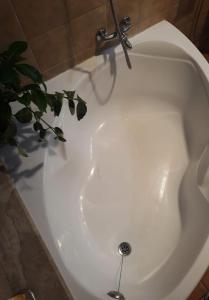 a white bath tub with a faucet and a plant at O DESCANSO DE MANDUCA in Mazaricos