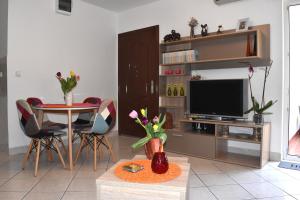 un salon avec une table et une télévision dans l'établissement Apartment Iris, à Kotor