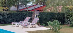 two chairs with floral cushions sitting next to a pool at Pequeña casa en chacras de coria in Chacras de Coria