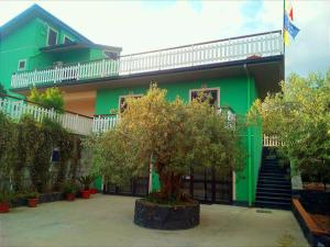 un edificio verde con un albero di fronte di Azienda Agricola Cuntarati a Bronte