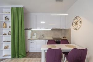 Kuchyň nebo kuchyňský kout v ubytování Apartment Gučevo