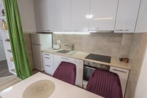 Kuchyň nebo kuchyňský kout v ubytování Apartment Gučevo