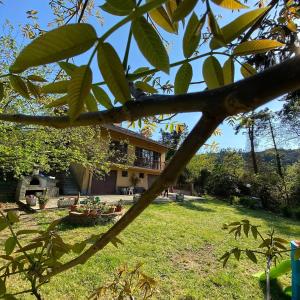 - une vue sur la maison depuis la cour dans l'établissement Bed & Breakfast Le cicale e la formica, à Casarza Ligure