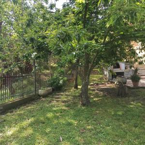 un árbol en un patio junto a una valla en Bed & Breakfast Le cicale e la formica, en Casarza Ligure