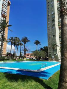 a swimming pool in the grass with palm trees and buildings at Club Medico Torre VI in Benidorm