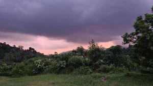 Photo de la galerie de l'établissement Bukit Lawang Hill Resort, à Bukit Lawang 10 autres photos