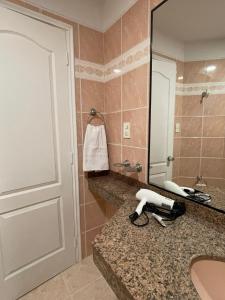 a bathroom with a mirror and a hair dryer on a counter at Departamento en Edificio Presidente Plaza España in Mendoza