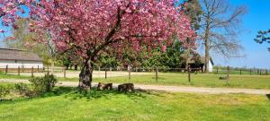 Zahrada ubytování Gite Haras du Bois de Formerie