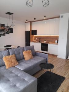 ein Wohnzimmer mit einem Sofa und einer Küche in der Unterkunft Apartamenty Bartoszyce 2 in Bartoszyce