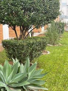 Vonkajšia záhrada v ubytovaní Appartement ‘’Los Pinos’’ 50m de la plage