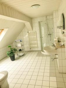 a bathroom with a shower and a sink and a toilet at Ferienwohnung Toni in Obernhof