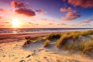 a sunset on a beach with grass in the sand at Scottish Thistle in Zandvoort