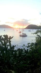 a group of boats in the water at sunset at Catamaran Cypraea in Terre-de-Haut