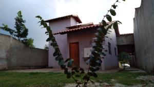 una casa con una planta delante de ella en Casa da Thalita, en Pirenópolis