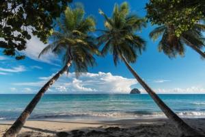 two palm trees on a beach with the ocean at Beau T2 48m2 tt confort calme 2 adultes 1 enfant in Les Trois-Îlets