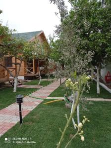 un jardín con un árbol y una casa en Denizimapartbungalov, en Demre