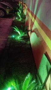 Zahrada ubytování Hotel Palace Vila Sônia