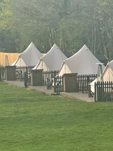 una fila de tiendas de campaña en un campo con hierba en Little Bunny Retreat en Bradmore