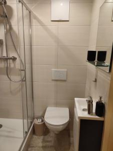 een kleine badkamer met een toilet en een douche bij Studio in einem Bauernhaus in St. Wolfgang