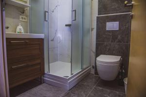 une salle de bain avec une douche en verre et des toilettes dans l'établissement Apartmani Kameno Sidro, à Bilice 138 autres photos