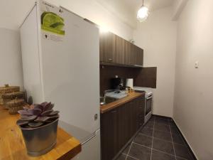 uma pequena cozinha com um lavatório e um frigorífico em Dreams 2 em Karditsa