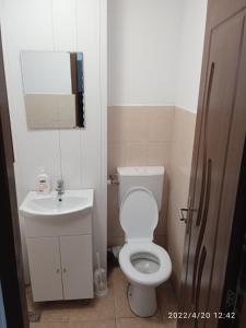 Baño pequeño con aseo y lavamanos en 4 Rooms Apartment, en Tulcea