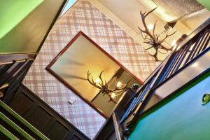 Foto Aucklandis asuva majutusasutuse Albion Hotel galeriist
