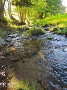 um riacho de água com rochas, árvores e relva em Le logis aux digitales em La Croix-aux-Mines