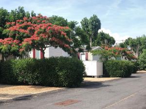 MOBIL HOME SERENITE 2CH VALRAS PLAGE外面的花园