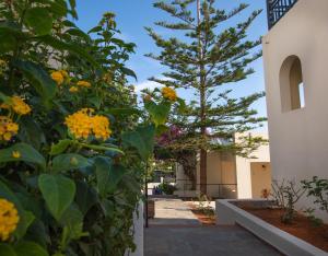 Zahrada ubytování Anastasia Hotel Stalis