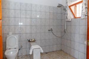 的住宿－Room in Guest room - Rushel Kivu Resort Ltd 3，一间带卫生间和淋浴的浴室