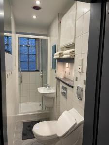 bagno bianco con servizi igienici e lavandino di Gartenapartment mit Ausblick stadtnah a Bad Mergentheim