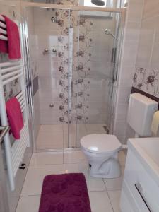 Vannituba majutusasutuses ML Apartman