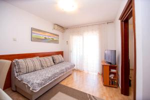 TV a/nebo společenská místnost v ubytování Apartment Elegija
