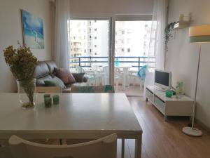 TV a/nebo společenská místnost v ubytování Edificio Arenal